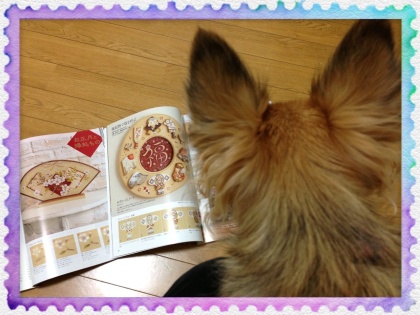 キーちゃんお膝に乗る