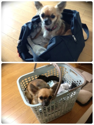 いたずらキーちゃん