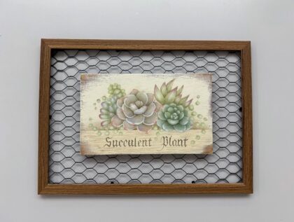 生徒さま完成作品 多肉のコラージュフレーム デザイン白井里美先生